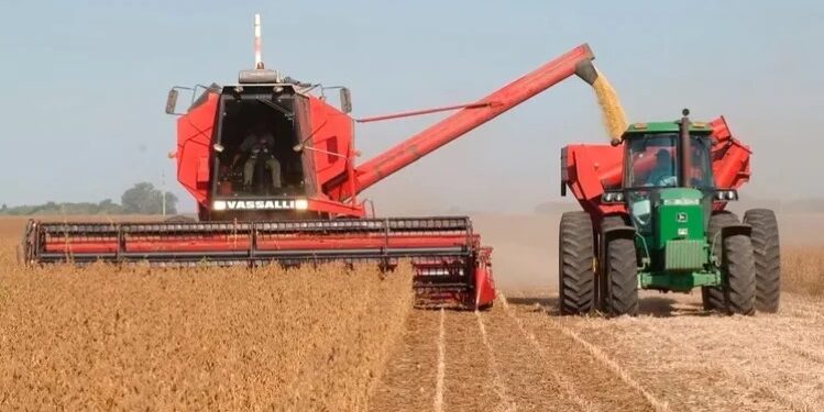 «El norte no da más»: APRONOR exige al gobierno eliminar las retenciones para evitar el colapso productivo