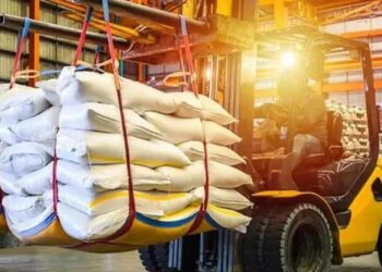 Durante la zafra 2024-2025, el NOA exportó más de 600.000 toneladas de azúcar