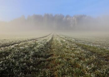 ¿Por qué hace tanto frío en la región? El SMN explica el fenómeno polar que afecta al país