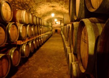 La vitivinicultura también sufre por los impuestos: se llevan hasta 63% del resultado de una bodega