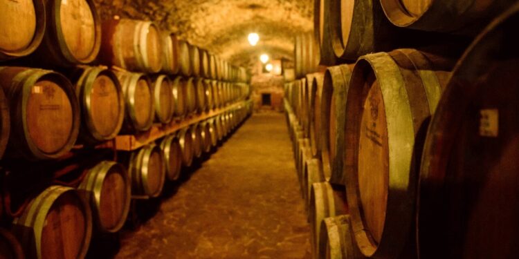 La vitivinicultura también sufre por los impuestos: se llevan hasta 63% del resultado de una bodega