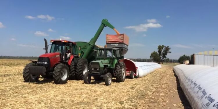 La poscosecha, el nuevo campo de batalla por la eficiencia en el agro