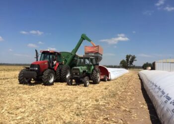 La poscosecha, el nuevo campo de batalla por la eficiencia en el agro