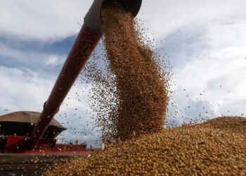 Productores tucumanos cuestionan la suba de retenciones