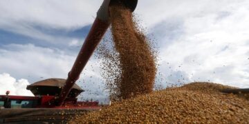 Productores tucumanos cuestionan la suba de retenciones