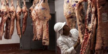 Carne argentina en tiempos de cambio: la mirada desde los matarifes