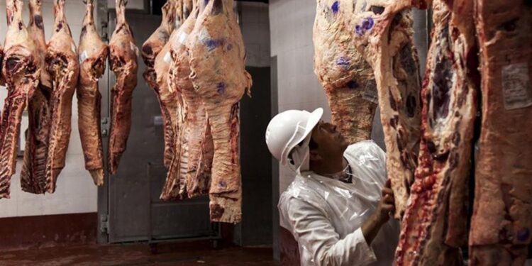 Carne argentina en tiempos de cambio: la mirada desde los matarifes