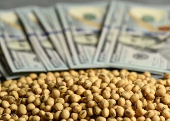 El agro liquidó en el primer semestre del año U$S 4.400 millones más que en igual período de 2024