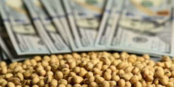El agro liquidó en el primer semestre del año U$S 4.400 millones más que en igual período de 2024