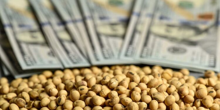 El agro liquidó en el primer semestre del año U$S 4.400 millones más que en igual período de 2024