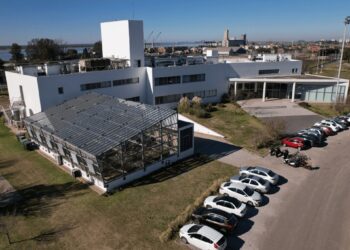Cómo es el “default” de Bioceres SA: una “sociedad residual” en la que la empresa argentina ya no participa