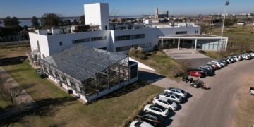 Cómo es el “default” de Bioceres SA: una “sociedad residual” en la que la empresa argentina ya no participa