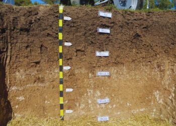 Lanzan un mapa digital que revela los secretos de los suelos argentinos