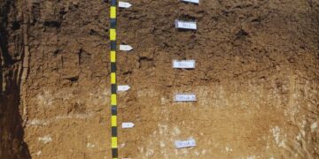 Lanzan un mapa digital que revela los secretos de los suelos argentinos