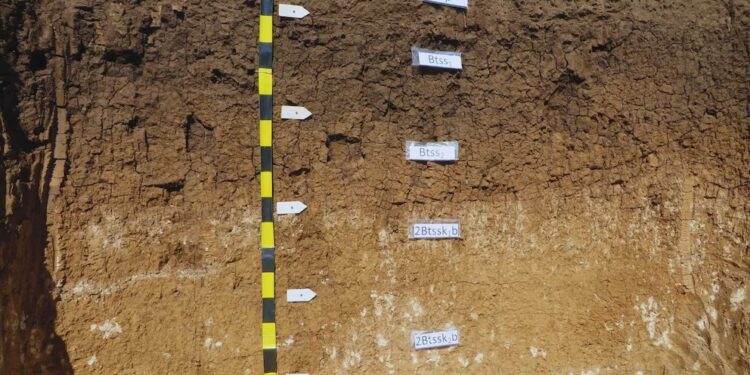 Lanzan un mapa digital que revela los secretos de los suelos argentinos