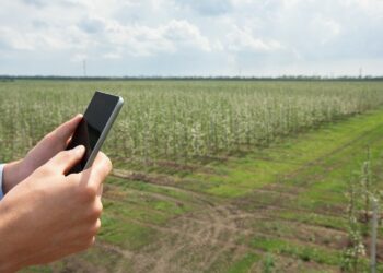 Google sigue de cerca al campo argentino: por qué observa un “rearraigo” en zonas rurales