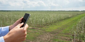 Google sigue de cerca al campo argentino: por qué observa un “rearraigo” en zonas rurales