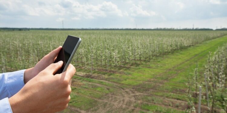 Google sigue de cerca al campo argentino: por qué observa un “rearraigo” en zonas rurales