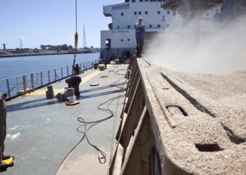La baja de retenciones y un récord: junio fue el mes con más exportaciones del agro de la historia
