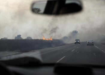 Prevención de quemas: piden que se priorice la cosecha de caña cercana a los caminos