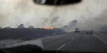 Prevención de quemas: piden que se priorice la cosecha de caña cercana a los caminos