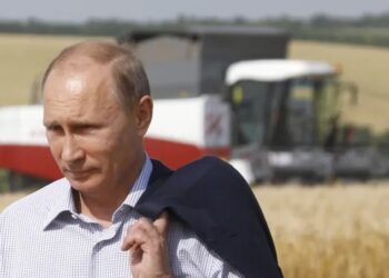 Rusia elimina retenciones al trigo por primera vez desde 2021