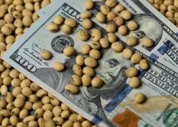 Advierten que “persiste una visión fiscalista” sobre el agro, sin considerar el impacto productivo