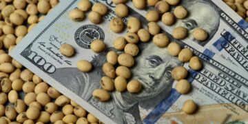 Advierten que “persiste una visión fiscalista” sobre el agro, sin considerar el impacto productivo