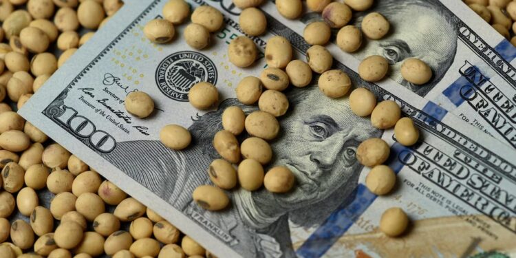 Advierten que “persiste una visión fiscalista” sobre el agro, sin considerar el impacto productivo