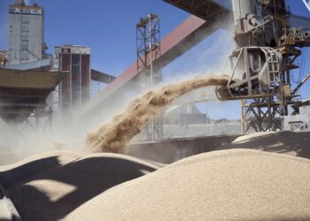 Tormenta para el agro y para Milei: el precio de la harina de soja cayó a su peor nivel en 15 años