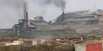 Sin interrupciones, los ingenios se acercan a su pico de molienda