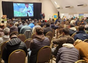 Entre las campañas 2023/24 y 2024/25 cayó la secuencia soja-barbecho-maíz-barbecho-soja