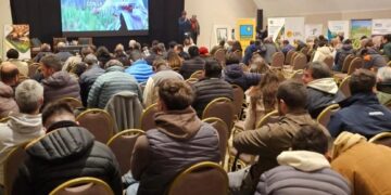 Entre las campañas 2023/24 y 2024/25 cayó la secuencia soja-barbecho-maíz-barbecho-soja