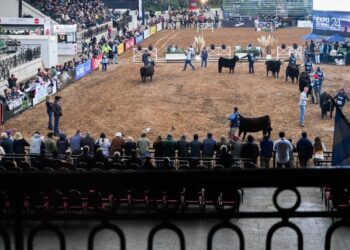 Arranca La Rural 2025: la gran ciudad se prepara para “sentir la tradición” del campo argentino