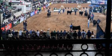 Arranca La Rural 2025: la gran ciudad se prepara para “sentir la tradición” del campo argentino