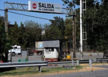 La nueva ruta de un concurso histórico: las 4 empresas que quedaron en carrera para “revivir” Vicentin