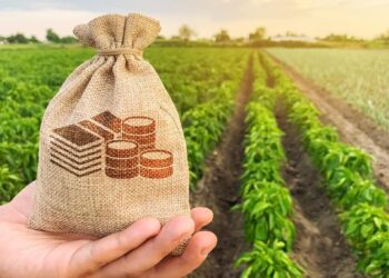 El Congreso eliminó una exención fiscal para las SGR y desde el agro piden reverlo: “El impacto es grave”