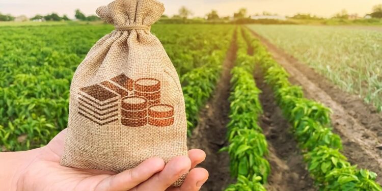 El Congreso eliminó una exención fiscal para las SGR y desde el agro piden reverlo: “El impacto es grave”