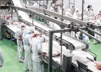 Frigoríficos alertan por los altos costos de las ART y piden avanzar con la reforma laboral