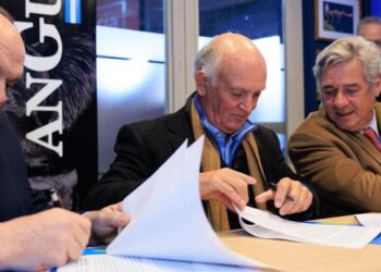 Ciencia aplicada a la ganadería: los Angus se apoyan en el INTA para seguir mejorando su genética
