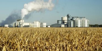 Tucumán será sede de una cumbre regional sobre biocombustibles