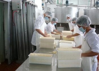 El ranking de las industrias lácteas: atomización, derrumbe cooperativo y crecimiento multinacional