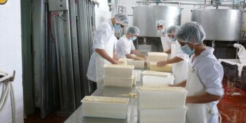 El ranking de las industrias lácteas: atomización, derrumbe cooperativo y crecimiento multinacional