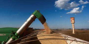 Los granos argentinos siguen rumbo a Asia, pero se enfría el vínculo con China