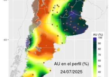 La humedad no da tregua: qué le espera al campo en un invierno lejos de lo habitual