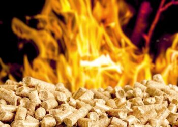 Pellets de madera: una chispa sustentable que puede encender el futuro energético argentino