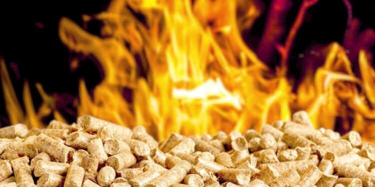 Pellets de madera: una chispa sustentable que puede encender el futuro energético argentino