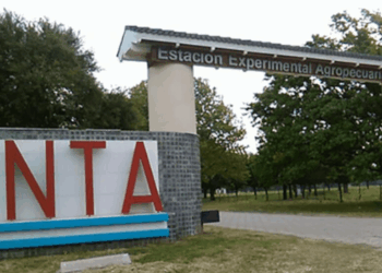 INTA: “Esto no es modernizar, es poner en riesgo una institución estratégica”