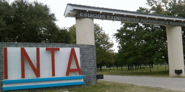 INTA: “Esto no es modernizar, es poner en riesgo una institución estratégica”