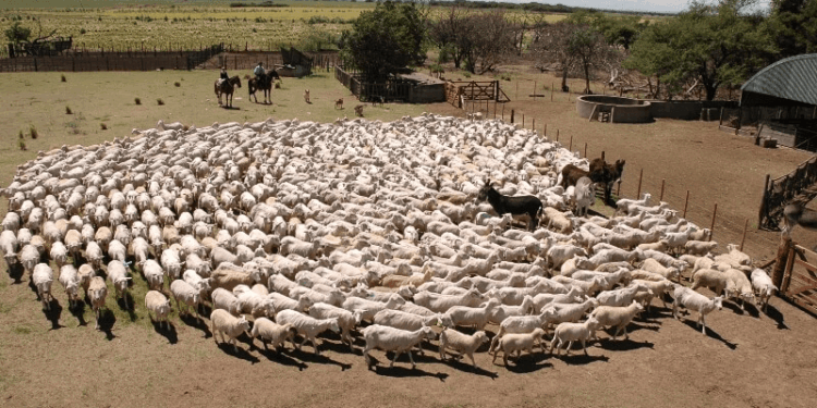 Indignación en la Patagonia: una grave acusación contra el Gobierno eleva el conflicto por la barrera sanitaria
